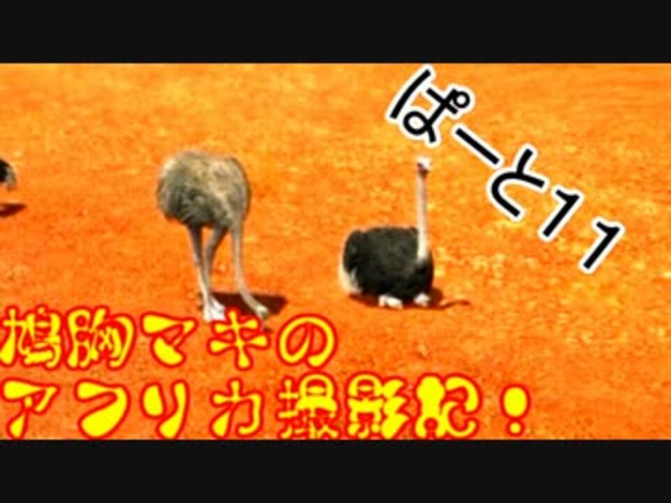 人気の Kei 鳥頭 動画 113本 4 ニコニコ動画