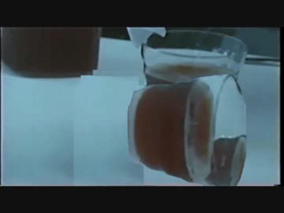 アイスティーをこぼしてしまった先輩 ニコニコ動画