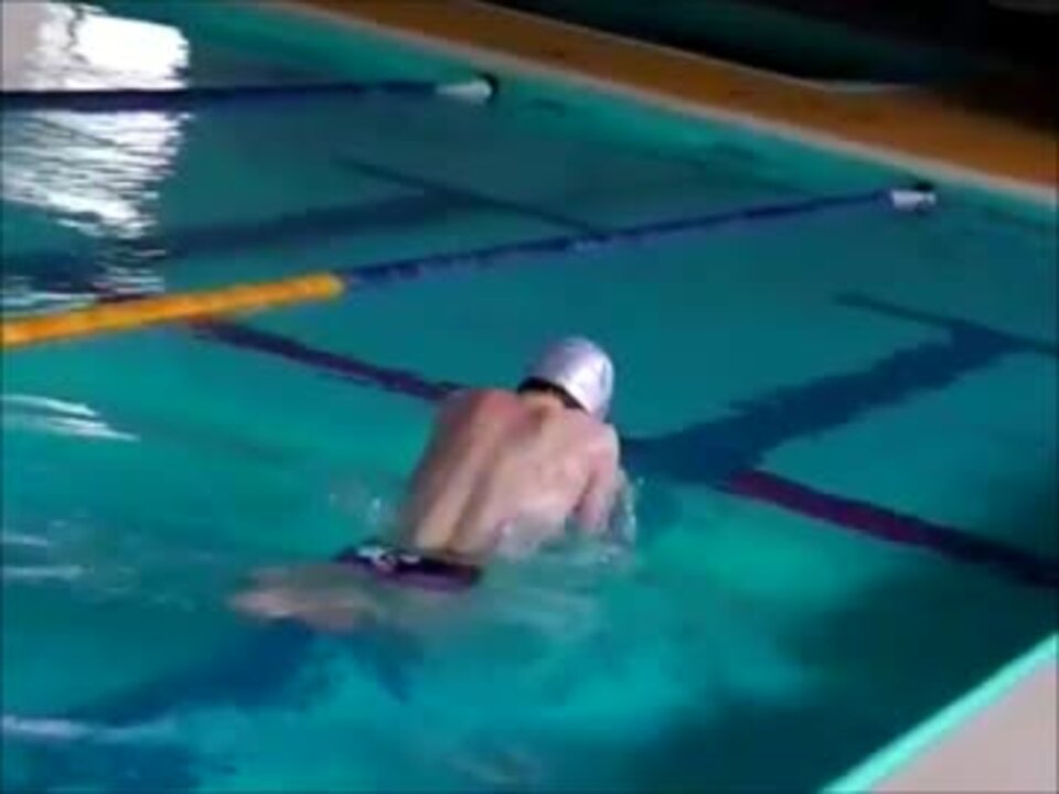 人気の 水泳 動画 516本 12 ニコニコ動画