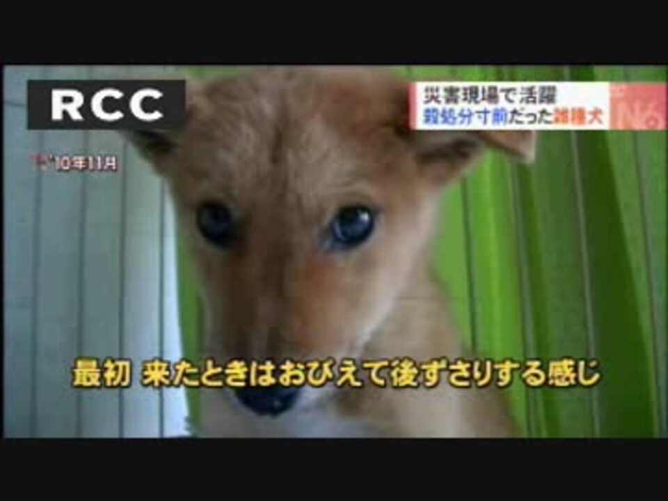 人気の 夢之丞 動画 4本 ニコニコ動画