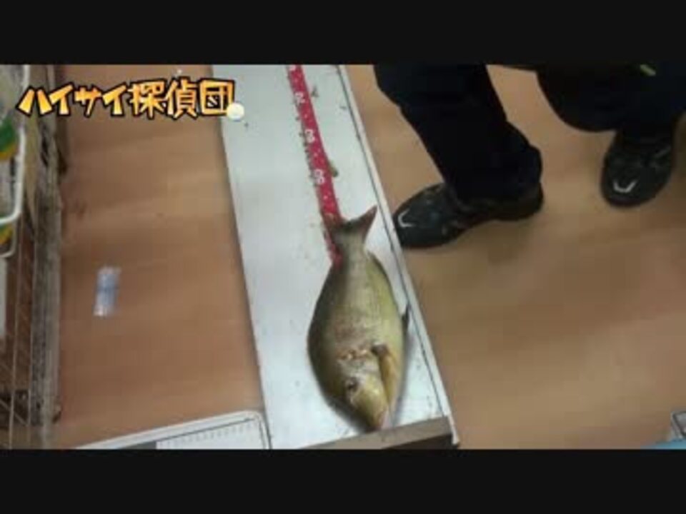 新記録 釣りポイント教えます 沖縄 北谷町砂辺 ニコニコ動画