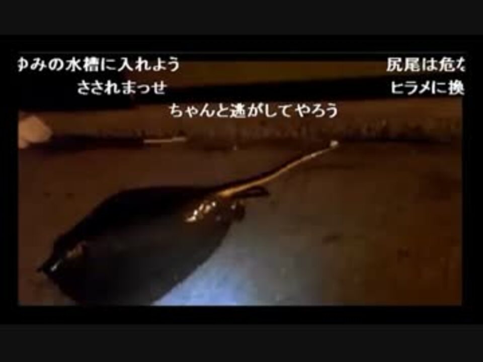 人気の ピグモン 動画 115本 3 ニコニコ動画