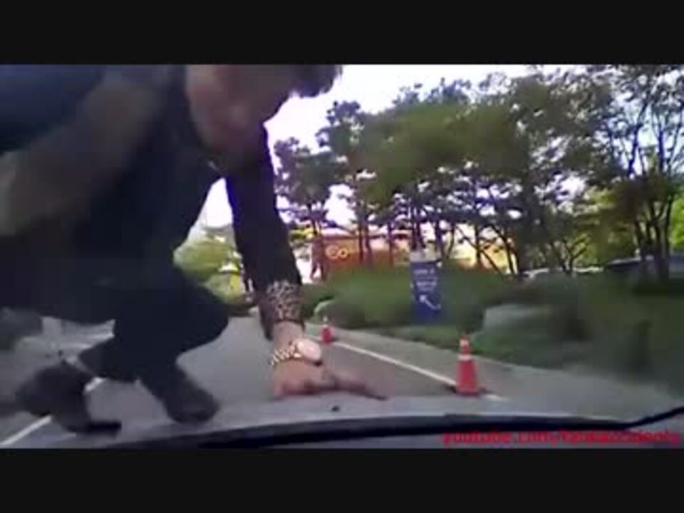 衝撃的な韓国の当たり屋 キチガイ ニコニコ動画