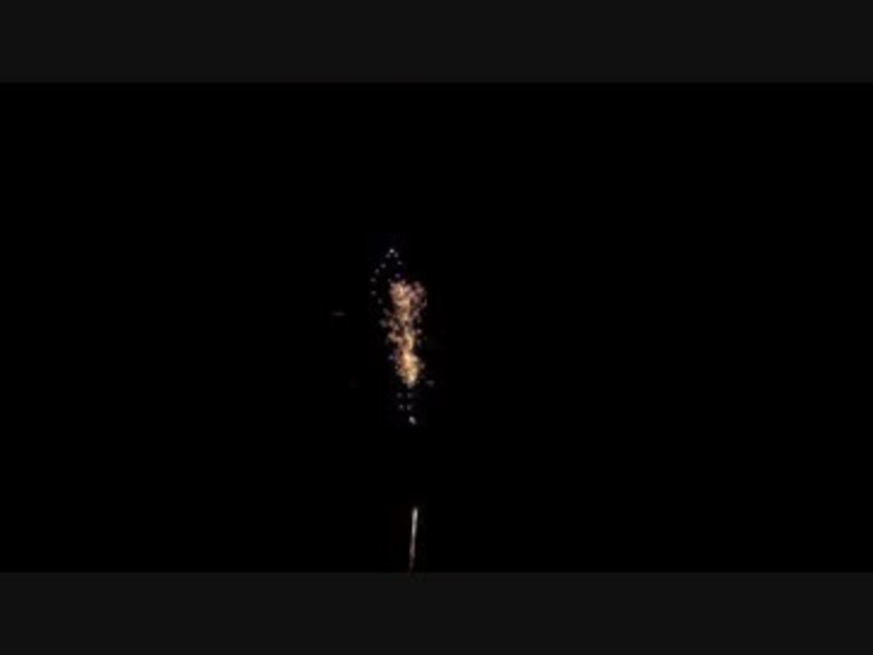 14 10 4 茨城 土浦花火 蜘蛛の巣にかかったスズメバチ 優秀賞 ニコニコ動画