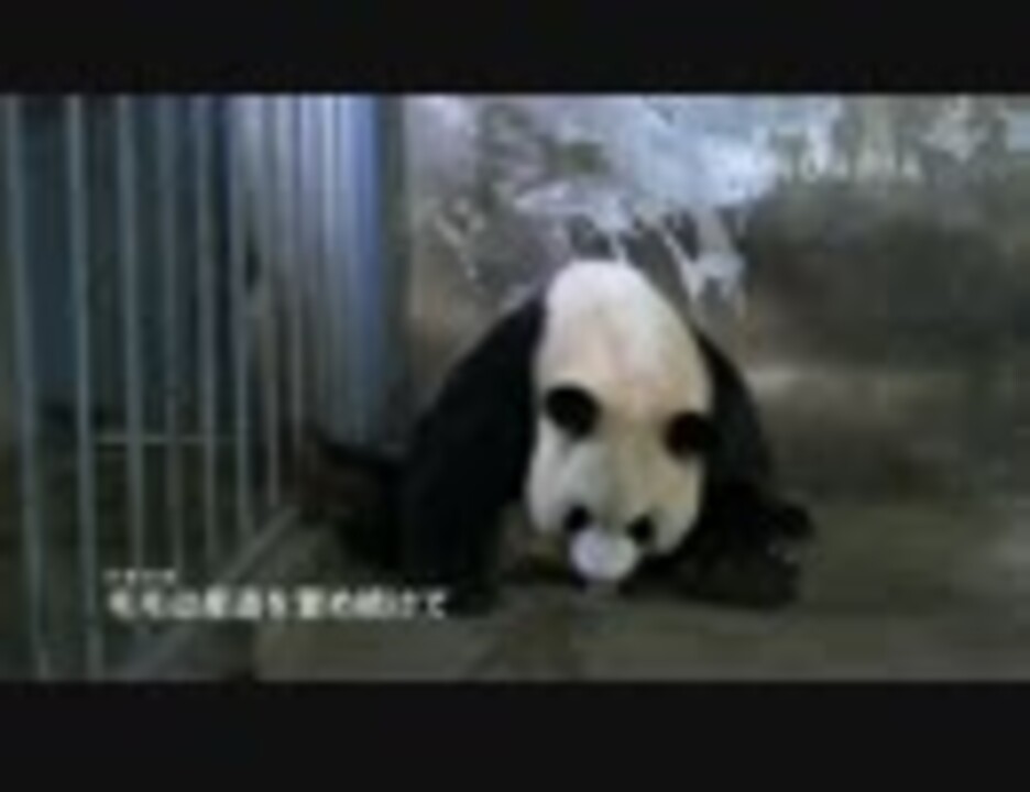 人気の マオマオ 動画 39本 ニコニコ動画