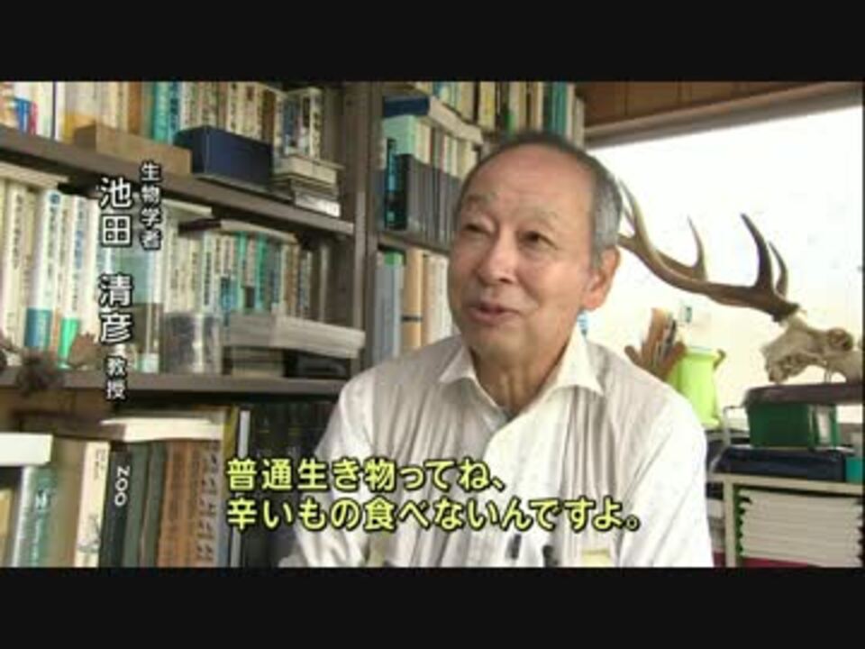 悲報 生物学者 人間はバカな生き物 人間はまともじゃない ニコニコ動画