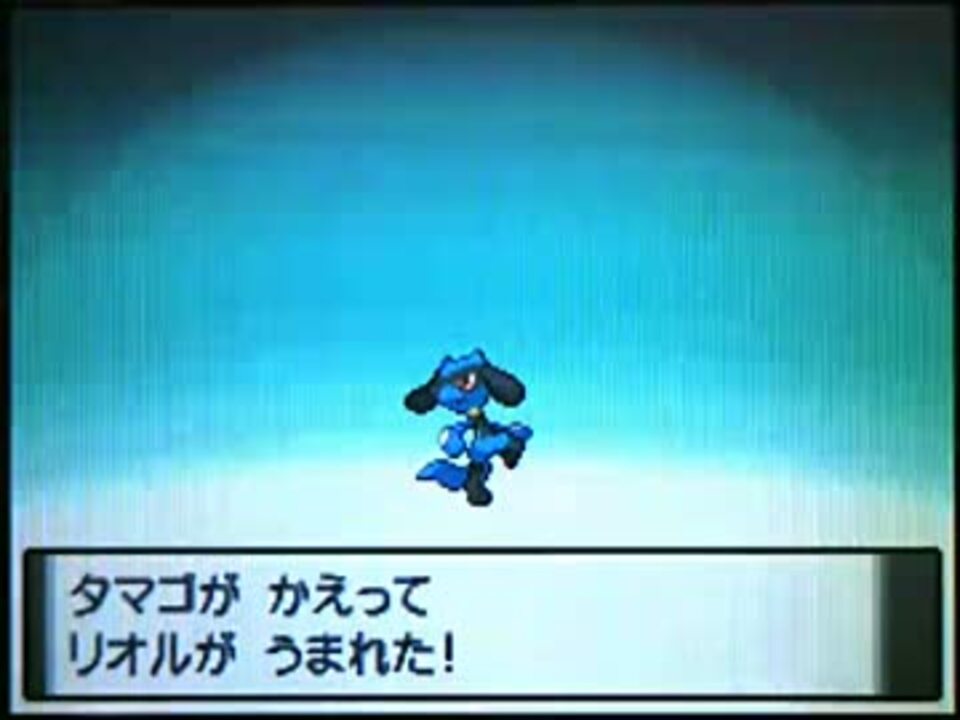 実況 ポケモンプラチナを初プレイで冒険だ 99 波乗り編 ニコニコ動画