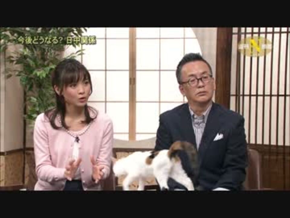 テレ東ニュース番組の2代目看板猫がやりたい放題だと話題にwwwwwwwww ニコニコ動画