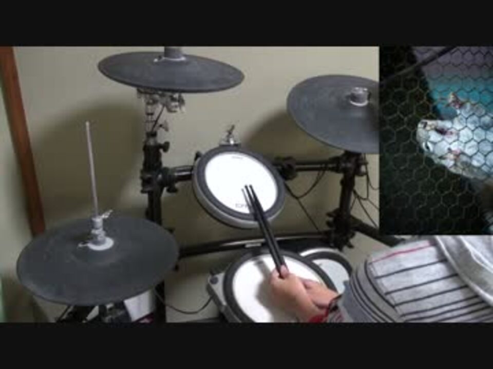 人気の ドラム かわいい 動画 7本 ニコニコ動画