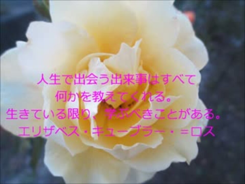 心を大きくする名言 エリザベス 日本パイオニア有限会社 ニコニコ動画