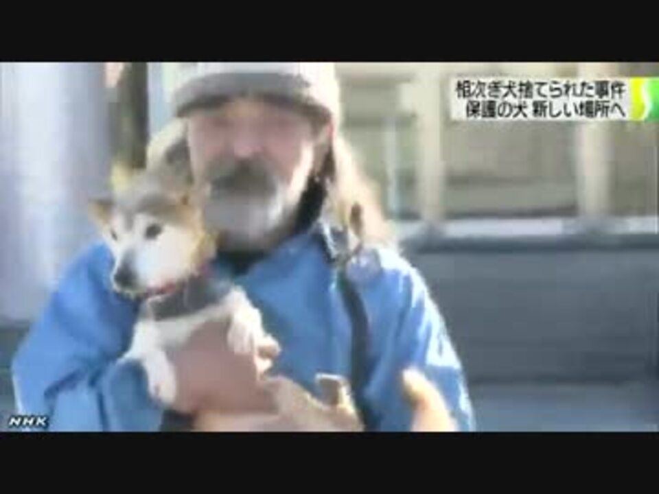 人気の 動物 動物虐待 動画 134本 3 ニコニコ動画