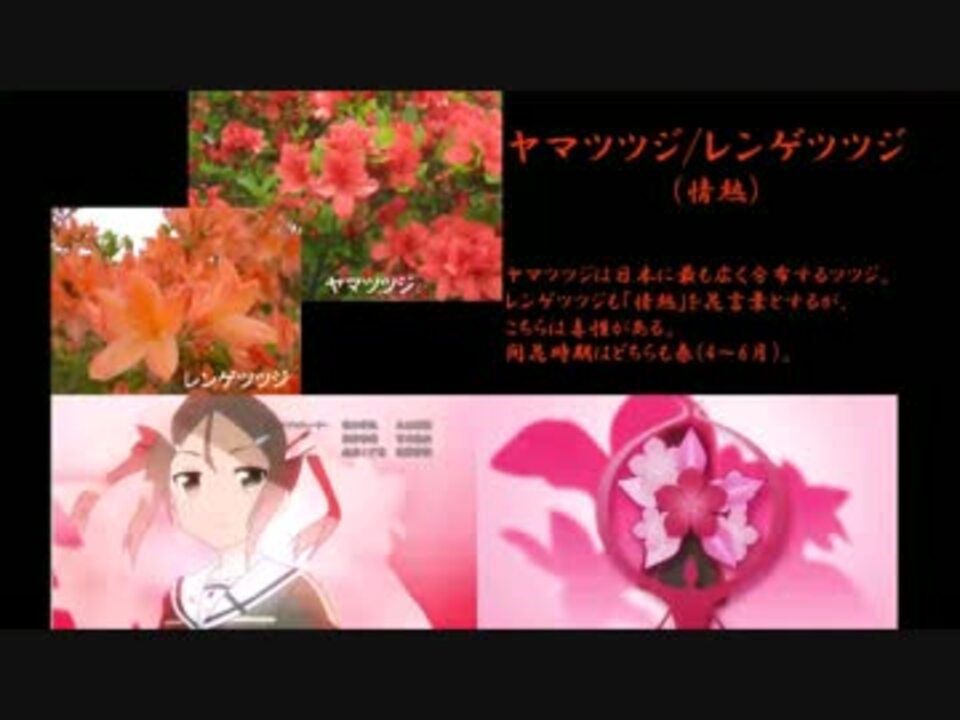 人気の 花言葉 動画 101本 3 ニコニコ動画