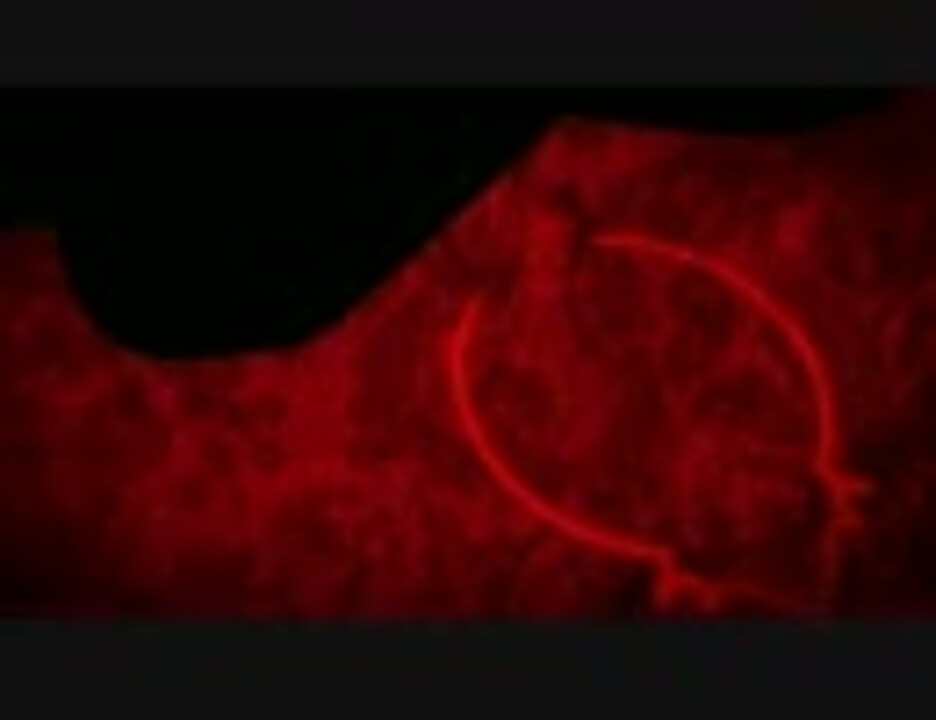 ニューキングハナハナ-30ブラックパネルPV - ニコニコ動画