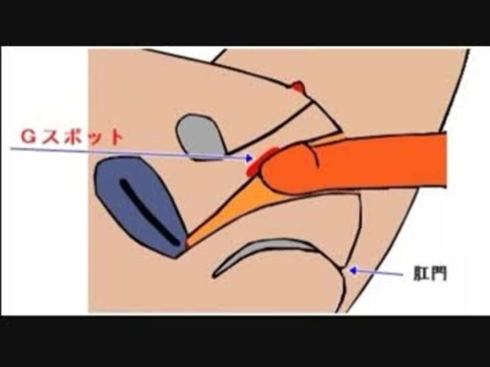 39 ペニスの先端でgスポットを攻める ニコニコ動画