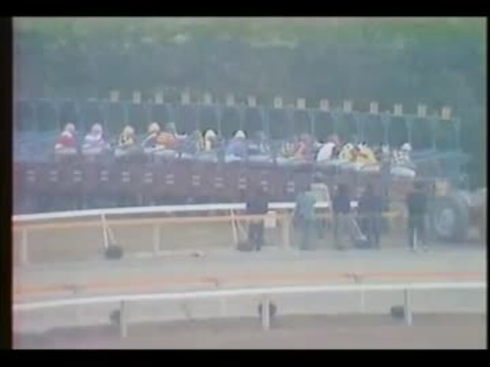 1973年第34回菊花賞 タケホープ - ニコニコ動画