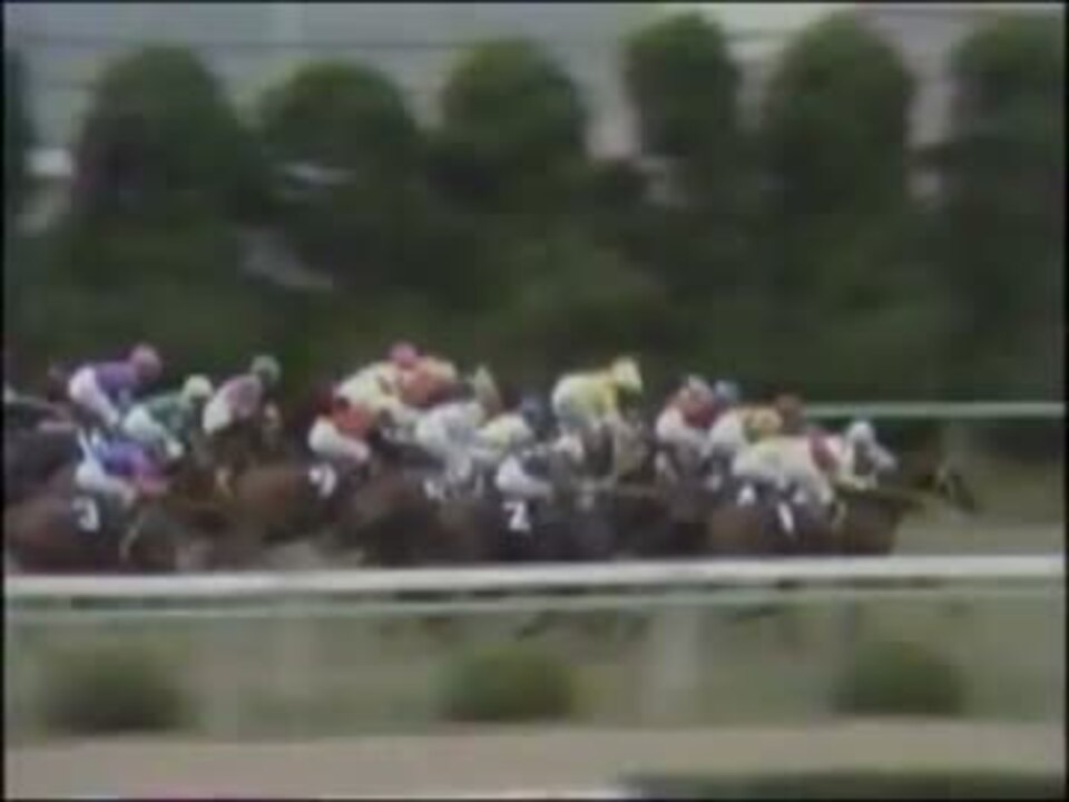 1979年第40回菊花賞 ハシハーミット 河内洋牡馬クラシック初勝利