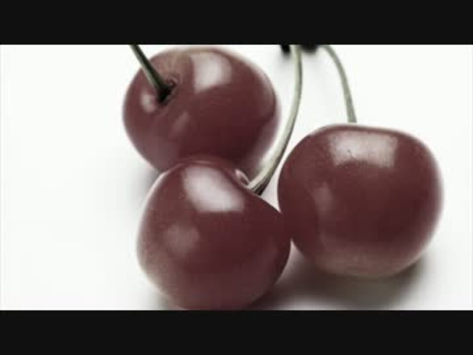 人気の さくらんぼ 動画 386本 4 ニコニコ動画