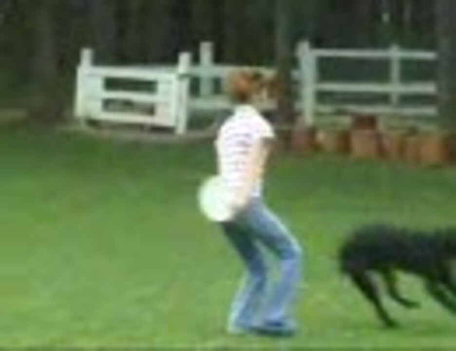 お宝映像 里田 まい カントリー娘 02 8 花畑牧場 ニコニコ動画