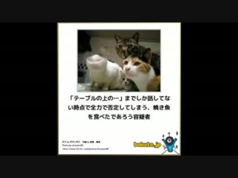 吹いたら負けな画像集 3 ボケて傑作集 殿堂入り 吹いたら負け ニコニコ動画