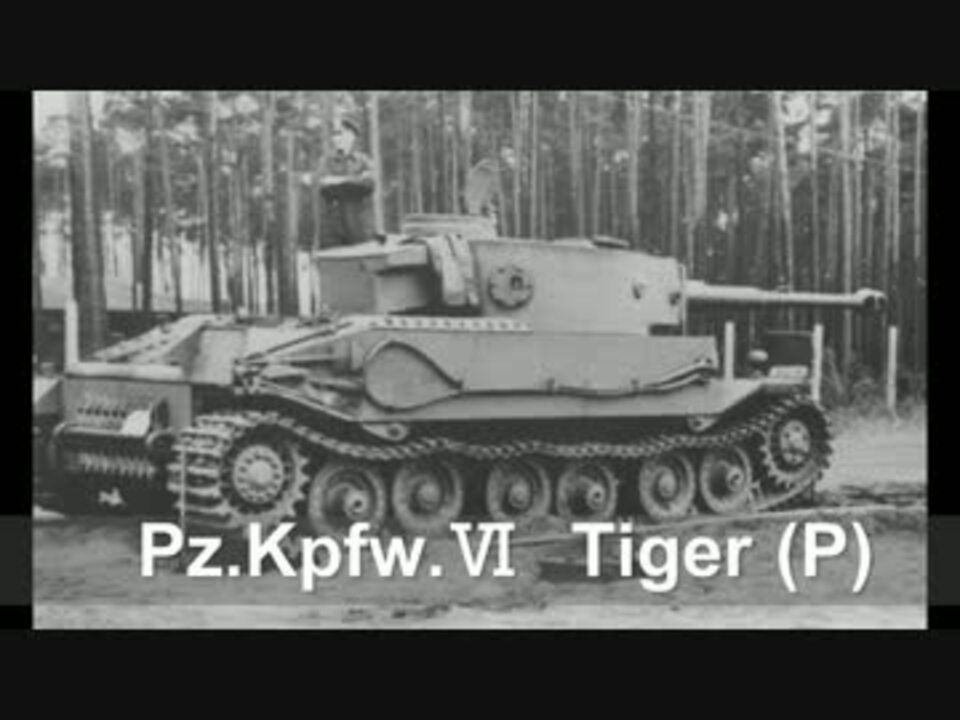 Тигр 1 п