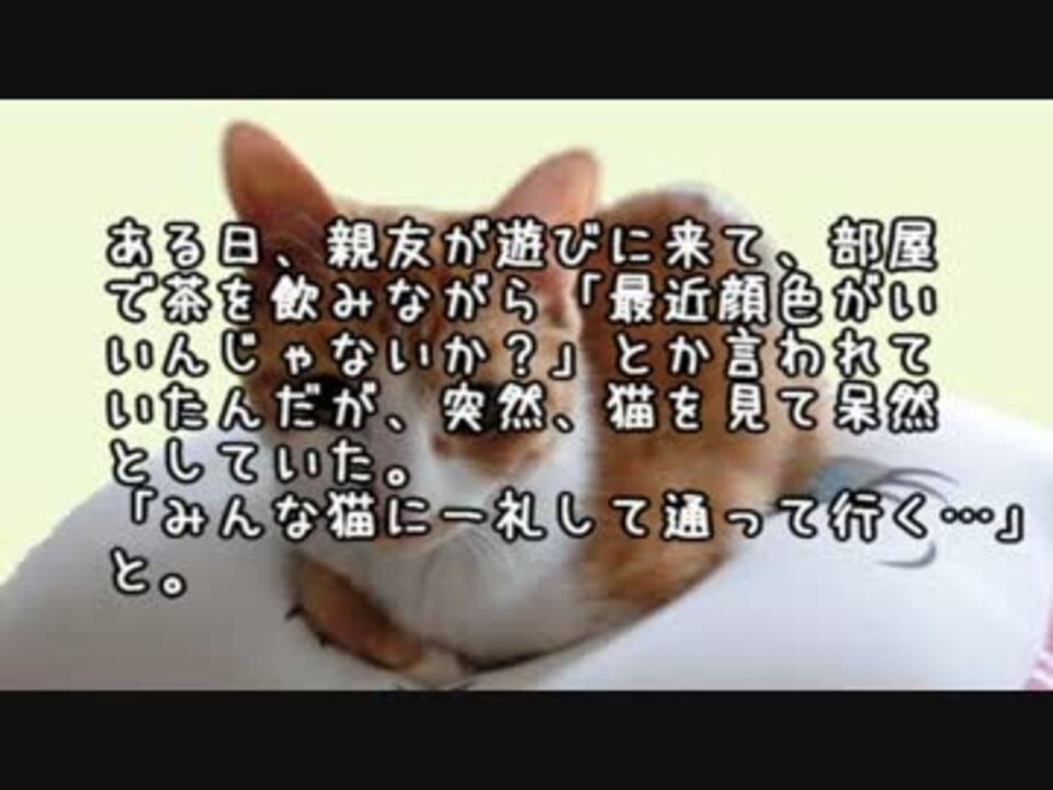 人気の 2ｃｈホラーリンク 動画 3 440本 45 ニコニコ動画