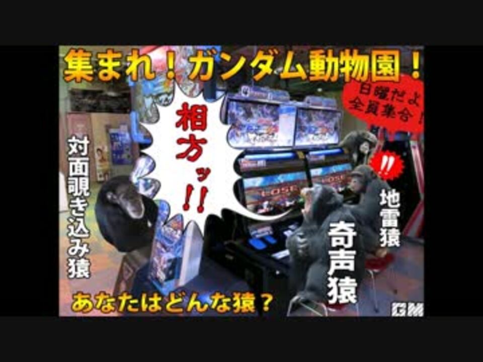 接待プレイはできません先輩 ガンダム動物園 ニコニコ動画