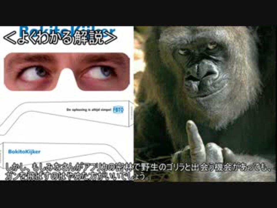 ゆっくり動物雑学 ゴリラを見るための ニコニコ動画