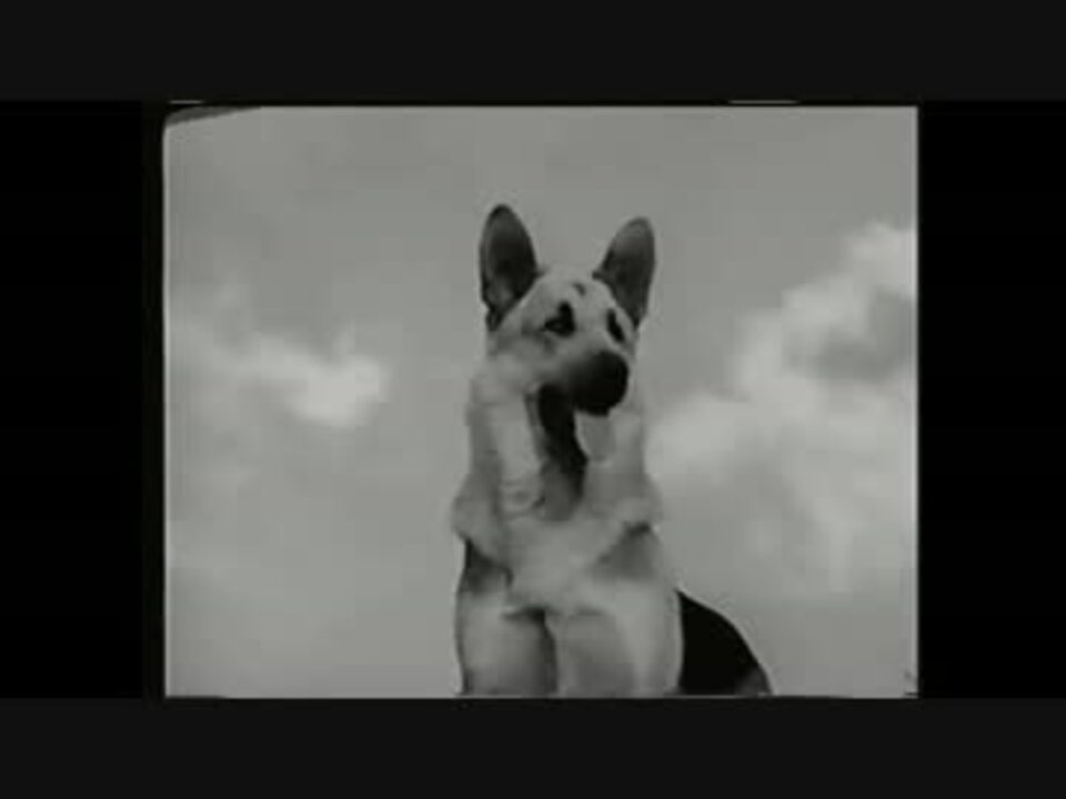 名犬リンチンチンOP - ニコニコ動画