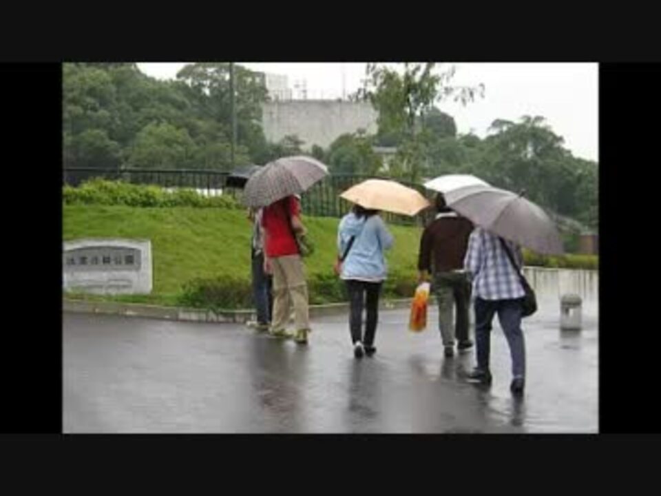 傘がない ニコニコ動画