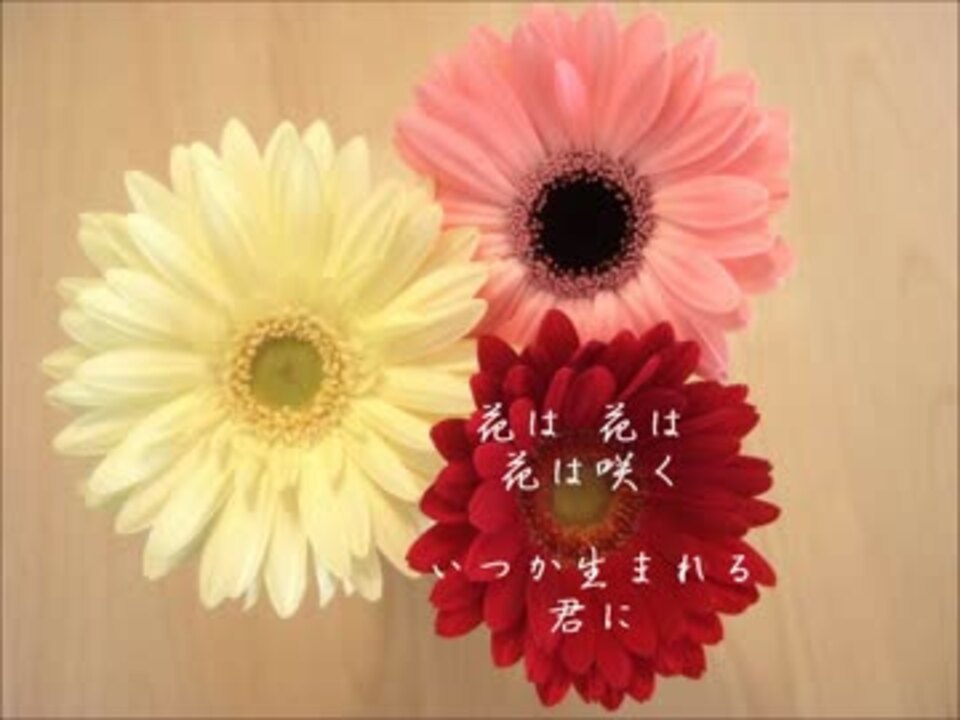 歌ってみた 花は咲く 歌詞変更版 花は咲くプロジェクト ニコニコ動画