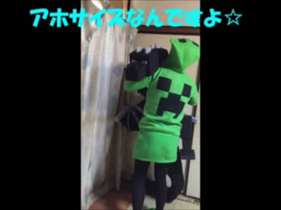 人気の 作ってみた マインクラフト 動画 228本 3 ニコニコ動画