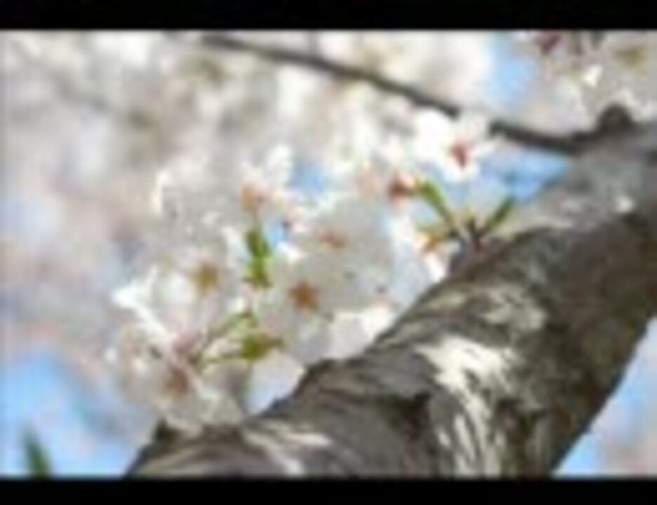 合唱曲 春に ニコニコ動画