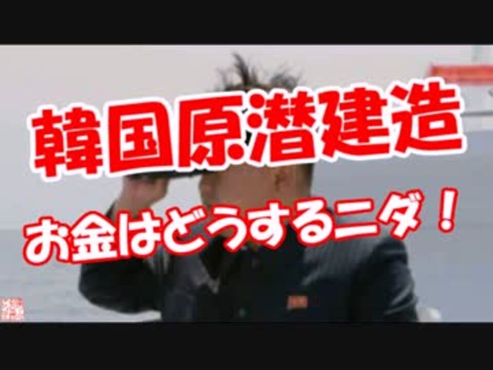 人気の 政治 韓国 動画 22 5本 41 ニコニコ動画