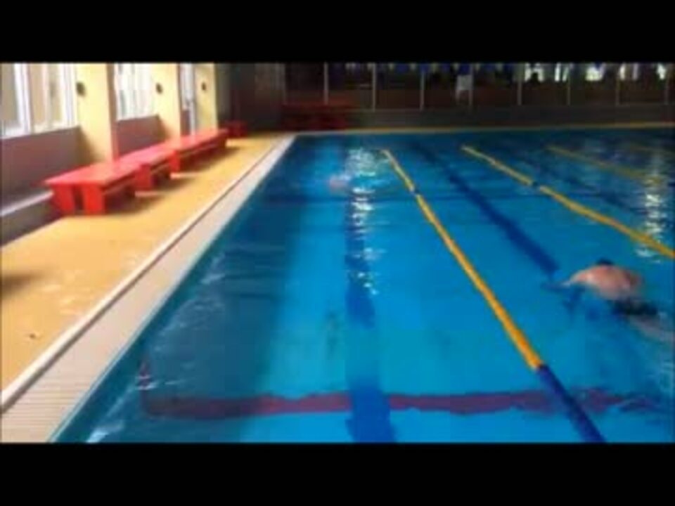 人気の 水泳 動画 516本 12 ニコニコ動画