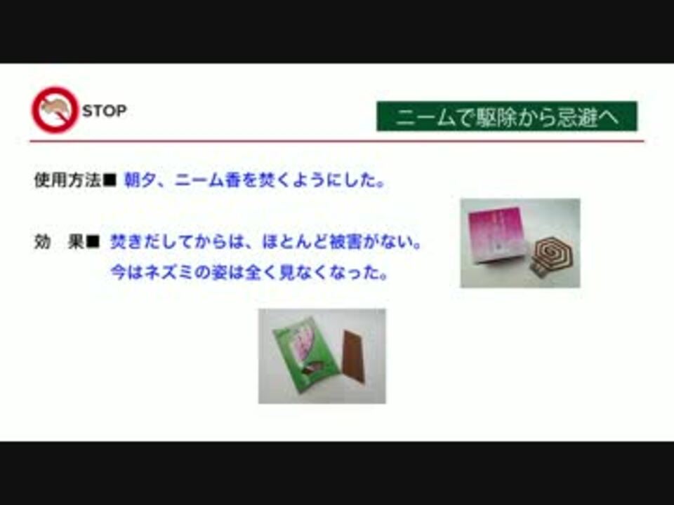 置くだけでネズミを寄せ付けない ねずみさんバイバイ ニコニコ動画