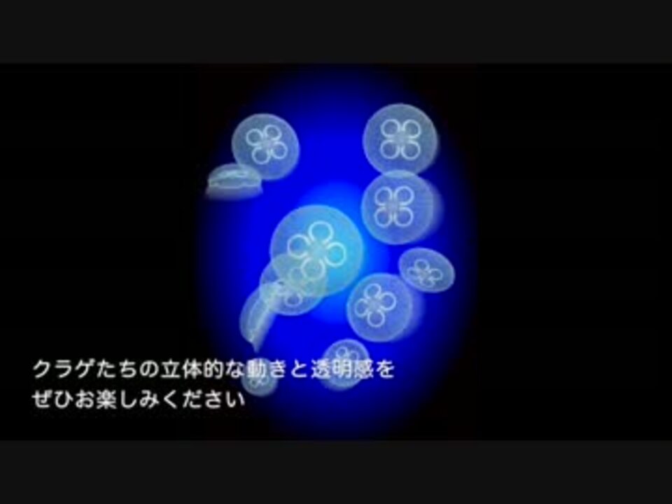 育成 クラゲに癒されるアプリ作ってみた アプリ ニコニコ動画