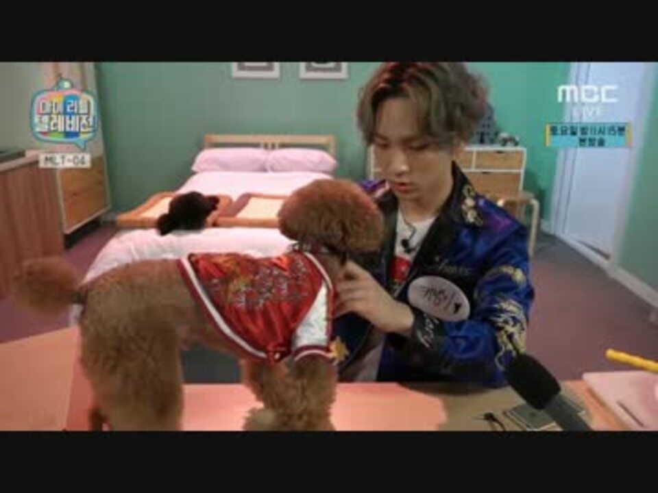 Shinee シャイニー マイリトルテレビ Mlt 04 キー コムデ 犬服着せること ニコニコ動画