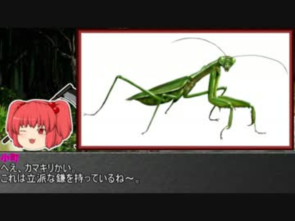 人気の カマキリ 昆虫 動画 92本 ニコニコ動画