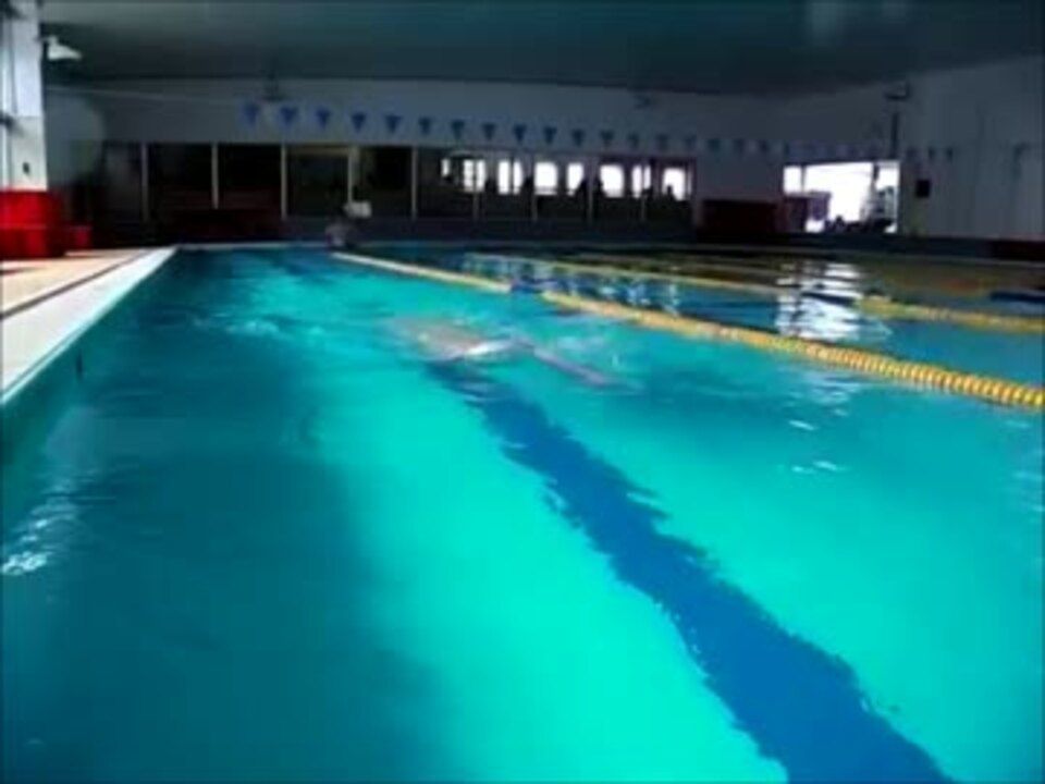 人気の 水泳 動画 516本 12 ニコニコ動画