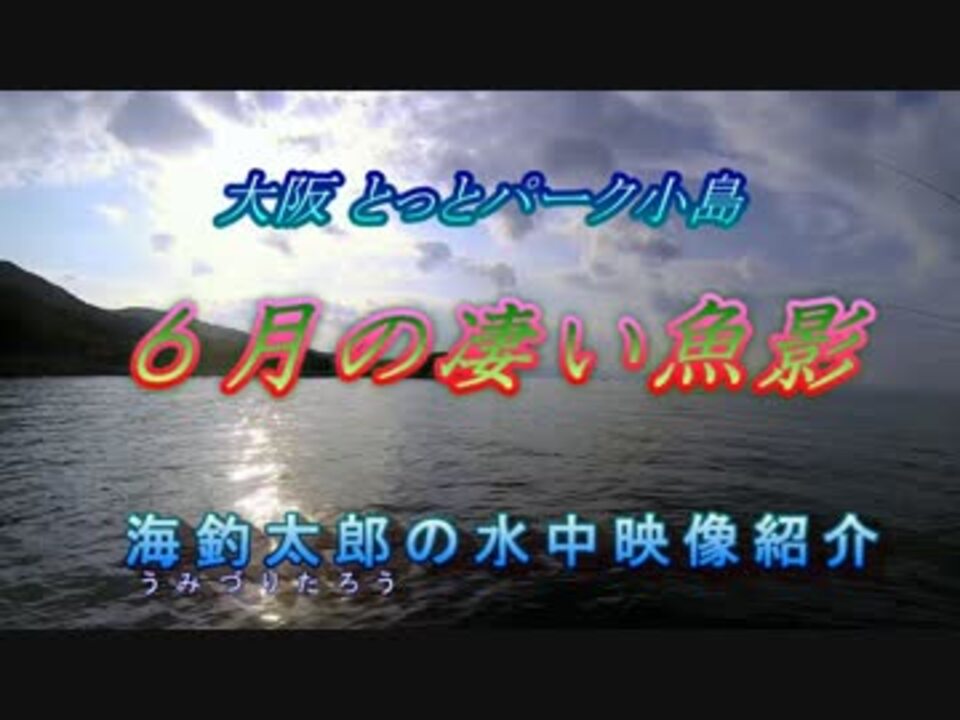 水中カメラ沈めてみた100 Gopro水中撮影 水中カメラで見る海釣り公園 ニコニコ動画