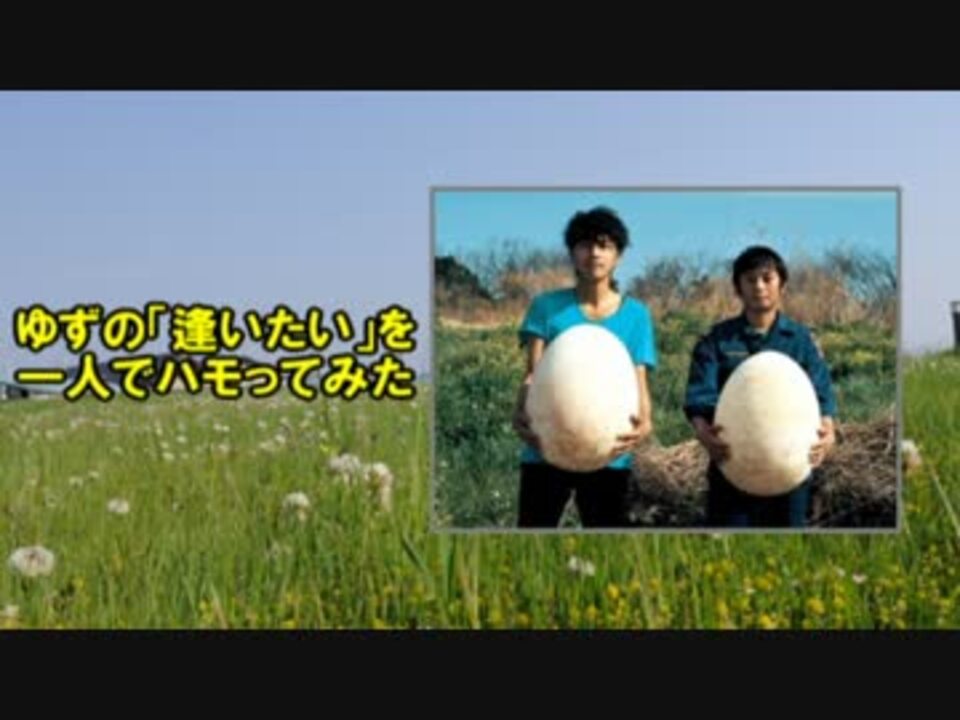 人気の ゆず 逢いたい 動画 9本 ニコニコ動画