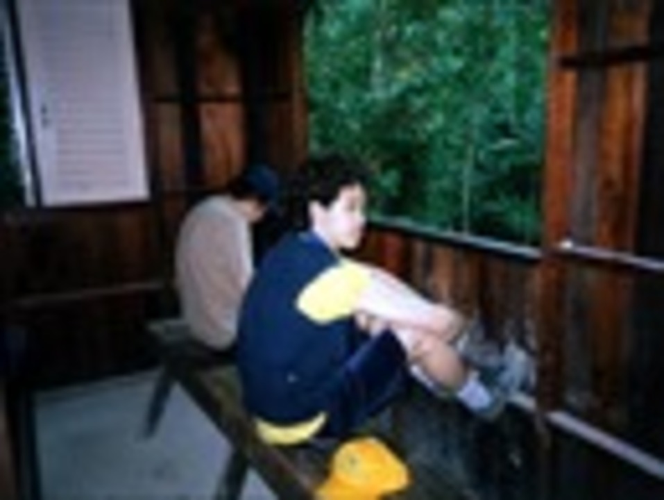 水曜どうでしょうclassic ジャングルリベンジ ６ エンターテイメント 動画 ニコニコ動画