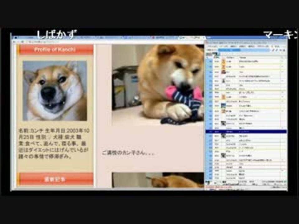 犬を愛でる会 15 4 15 ニコニコ動画