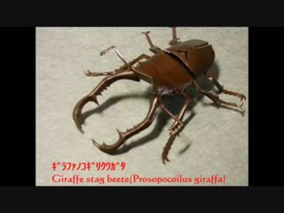 クワガタを切り折り紙で作ってみた 蛇腹折りの秘密 ニコニコ動画