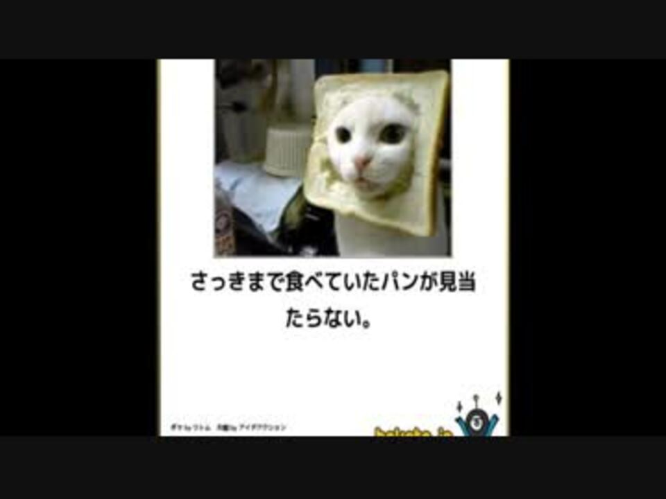 人気の Bokete 動画 347本 2 ニコニコ動画