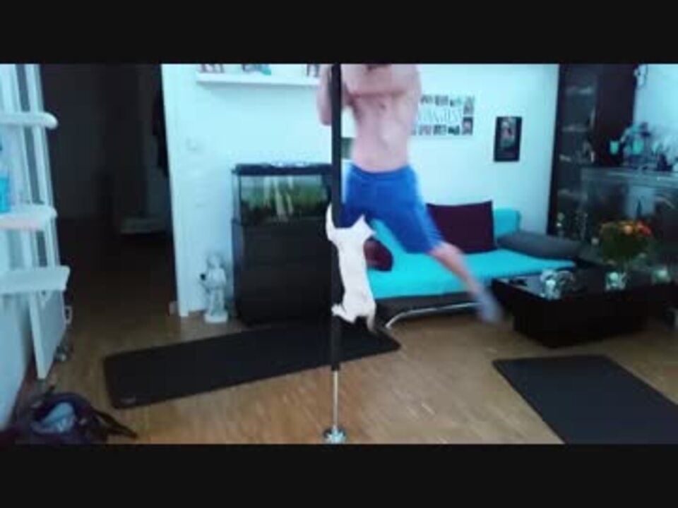 ポールダンスで回転猫 ニコニコ動画