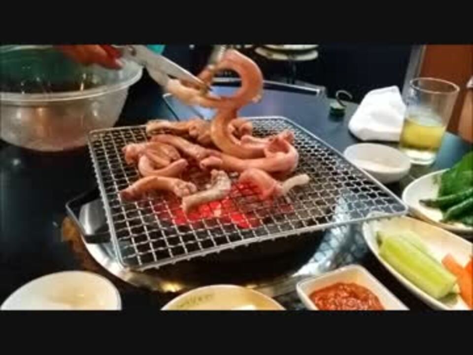 生きてるヌタウナギのbbq 韓国 ニコニコ動画