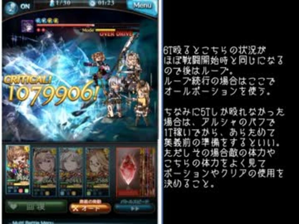 団員向け クッソ適当なセレマグ忍者麻痺ループ解説 ニコニコ動画