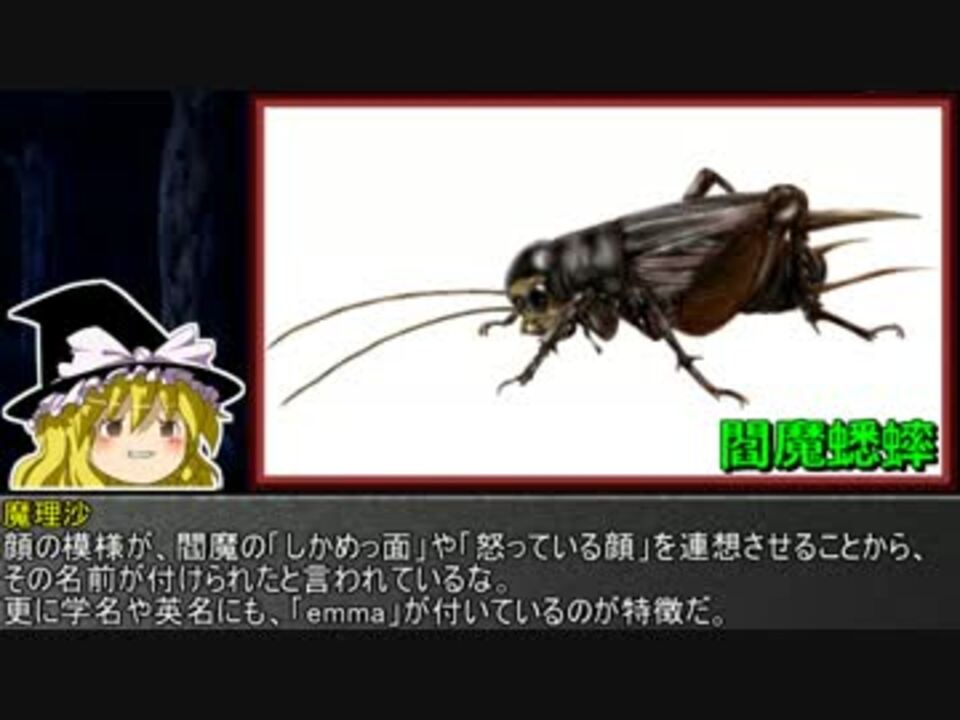 人気の 昆虫 動画 2 443本 3 ニコニコ動画