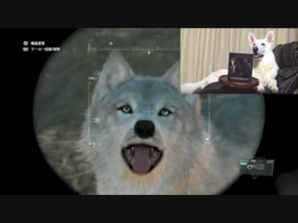 犬プレイ動画 Mgsv Exクワイエットをcqcパンチで倒す様子を眺める犬 ニコニコ動画